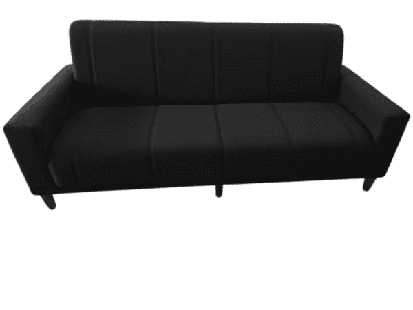 Sleeper Couch